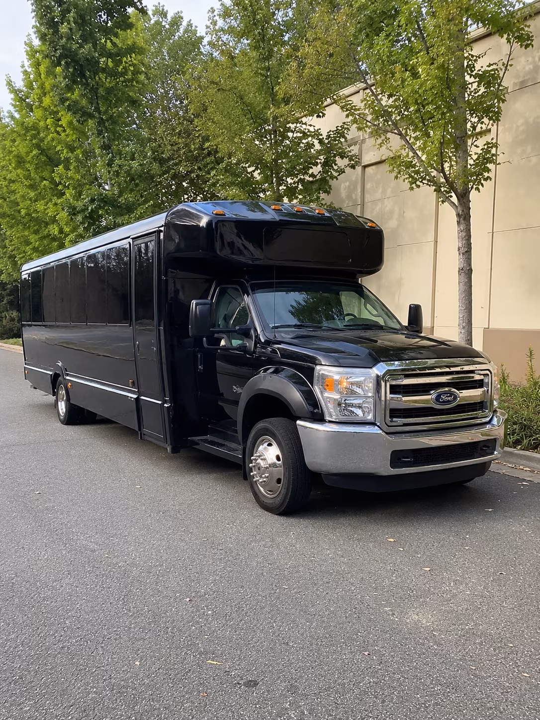 hit every photo stop in your memphis party bus before the dance
